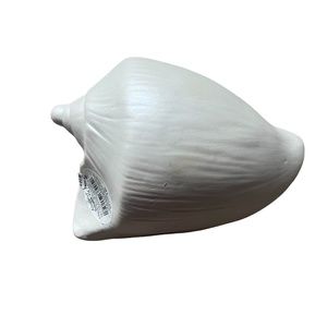 NWT Ashland Ceramic Conch Shell